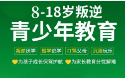 江西萍鄉(xiāng)青少年叛逆期引導(dǎo)：洞悉、陪伴與助力成長