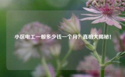 小區電工一般多少錢一個月？真相大揭秘！