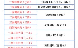 三級(jí)調(diào)研員是什么級(jí)別