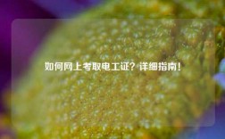 如何網(wǎng)上考取電工證？詳細指南！