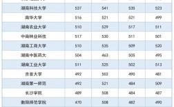 湖南大學美術生錄取分數線2024