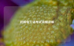 初級(jí)電工證考試流程詳解