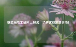 安監(jiān)局電工證網(wǎng)上報(bào)名，了解這些注意事項(xiàng)！