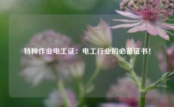 特種作業(yè)電工證：電工行業(yè)的必備證書！
