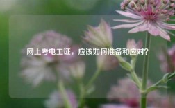 網上考電工證，應該如何準備和應對？