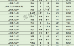 上海電力大學(xué)排名
