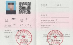 個人怎么考安全員證(安全工程師證報考條件是什么)