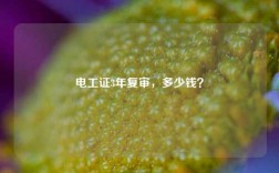 電工證3年復(fù)審，多少錢(qián)？