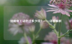 到底電工證*過多少錢？——詳細解析