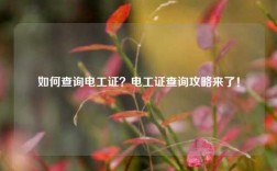 如何查詢電工證？電工證查詢攻略來了！