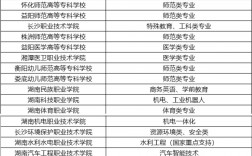 2024年湖南公辦專科學(xué)校排名及分?jǐn)?shù)線