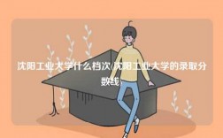沈陽工業(yè)大學(xué)什么檔次(沈陽工業(yè)大學(xué)的錄取分?jǐn)?shù)線)