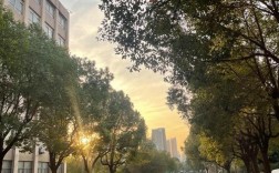 權(quán)威招生信息 | 安徽工貿(mào)職業(yè)學校2025年"3+2"五年制高職分段培養(yǎng)計劃