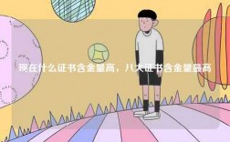 現在什么證書含金量高，八大證書含金量最高