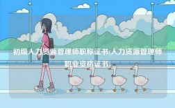 初級(jí)人力資源管理師職稱證書(人力資源管理師職業(yè)資格證書)