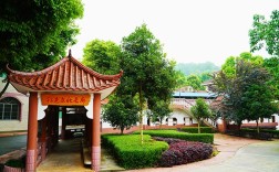 重慶德志錦輝素質教育為什么好評如潮？