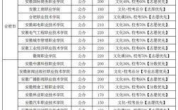 2024年安徽省?？圃盒Ｅ琶胺謹稻€