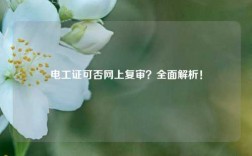 電工證可否網上復審？全面解析！