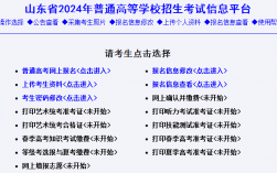 山東招生考試信息網(wǎng)入口