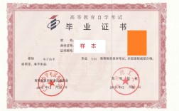 自考證什么樣