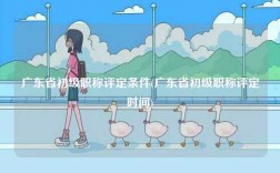 廣東省初級(jí)職稱評(píng)定條件(廣東省初級(jí)職稱評(píng)定時(shí)間)