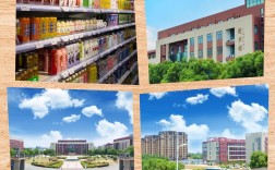 合肥共達(dá)職業(yè)技術(shù)學(xué)院2025年復(fù)讀班升學(xué)率怎樣？有哪些專業(yè)？安徽高考分?jǐn)?shù)要求？