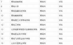 2024年青島的大學(xué)排名一覽表