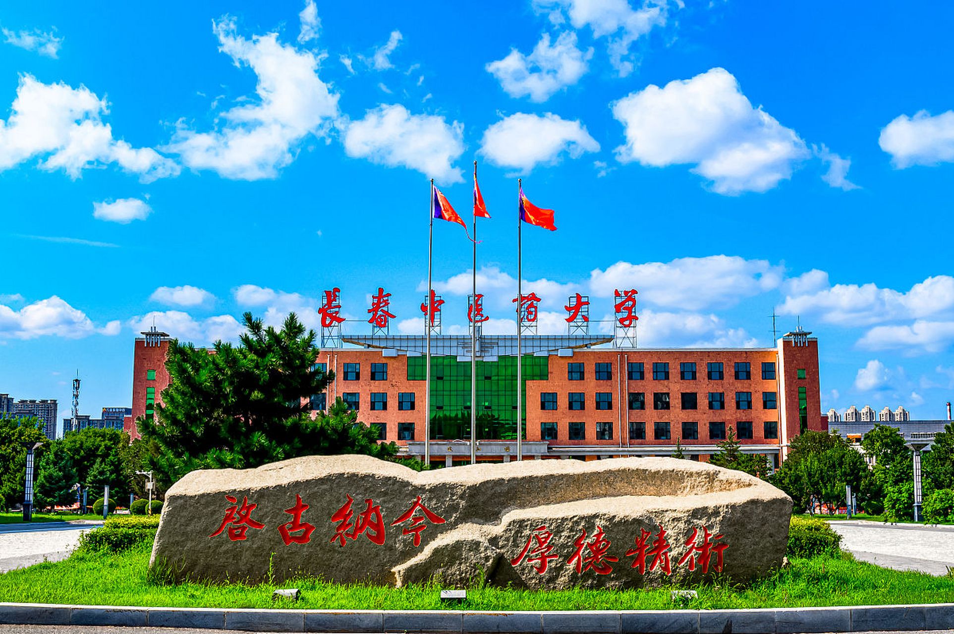 長春市中醫藥大學(國內中醫藥大學排名)-圖1