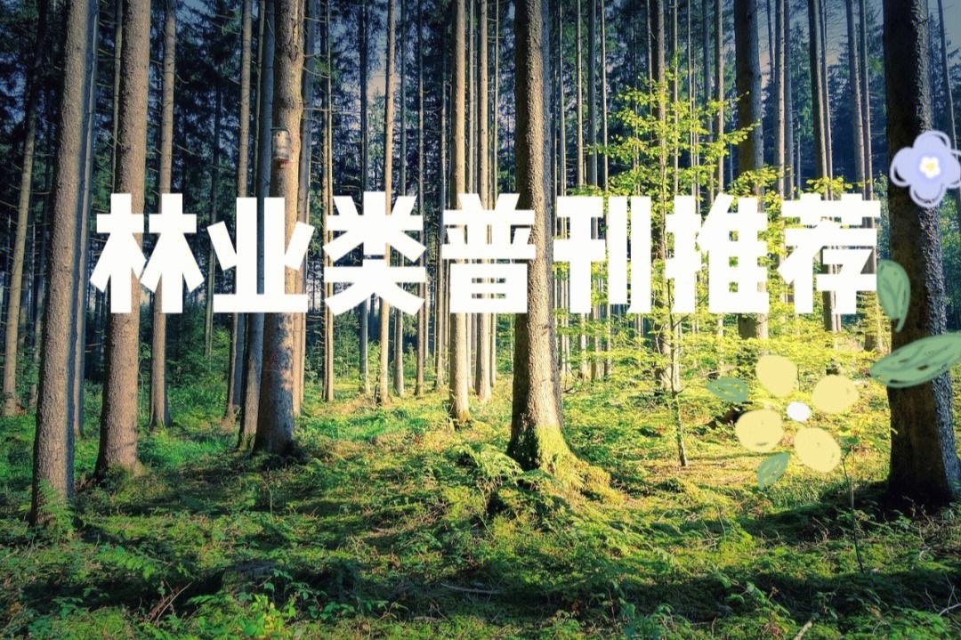 林業(yè)研究方向哪個好(考研林業(yè))-圖1