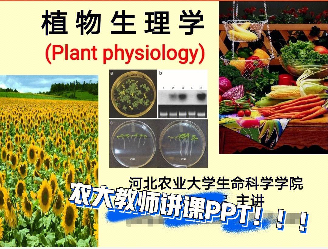 植物學考研就業(yè)前景(植物學考研有哪些科目)-圖1