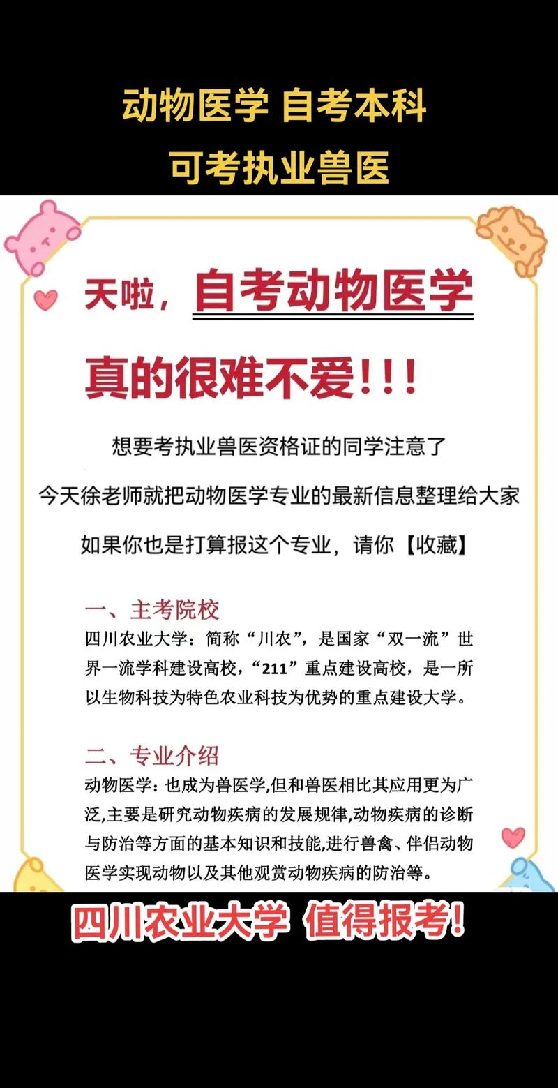 寵物醫(yī)生可以自考嗎(成人自考動物醫(yī)學專業(yè))-圖1
