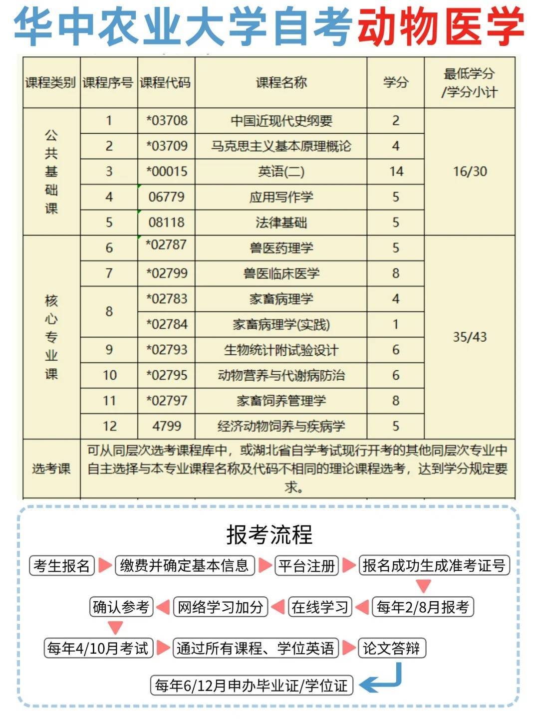 醫(yī)學本科自考(成人自考臨床醫(yī)學)-圖1