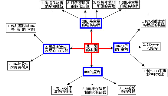 基因的化學(xué)本質(zhì)(基因合成的原理)-圖1