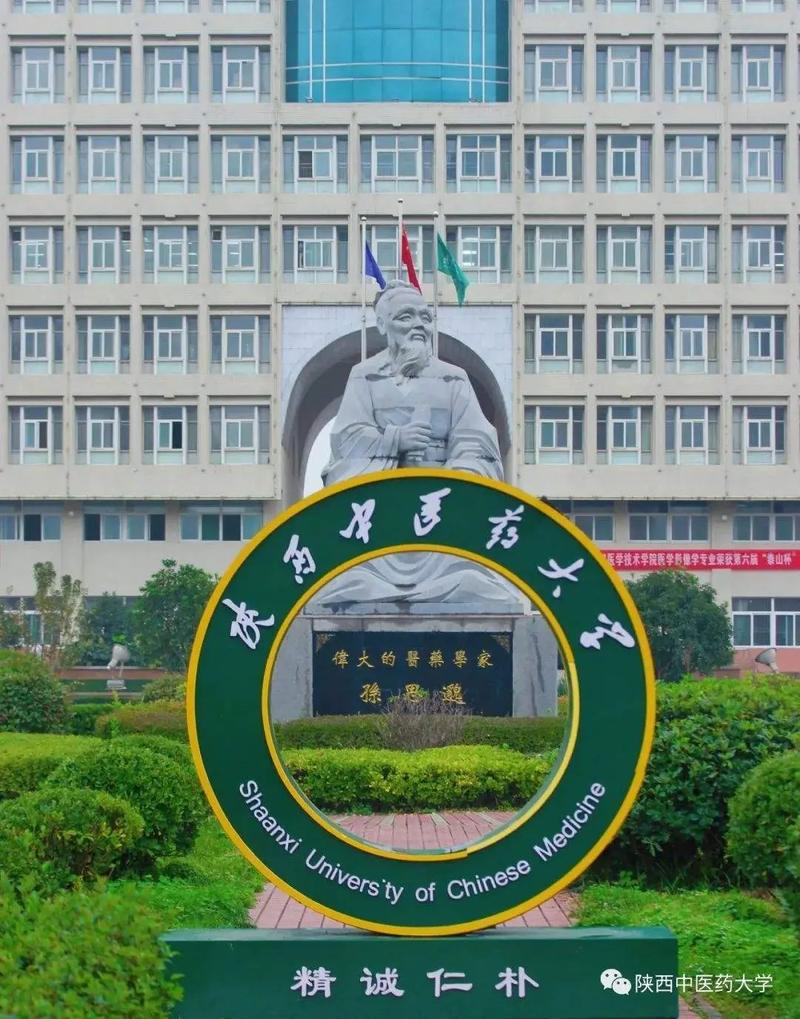 陜西中醫(yī)藥大學(xué)是一本還是二本(陜西中醫(yī)藥大學(xué)成人本科招生)-圖1