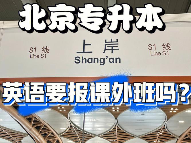 北京專升本官網(wǎng)入口www.bjeea.cn-圖1