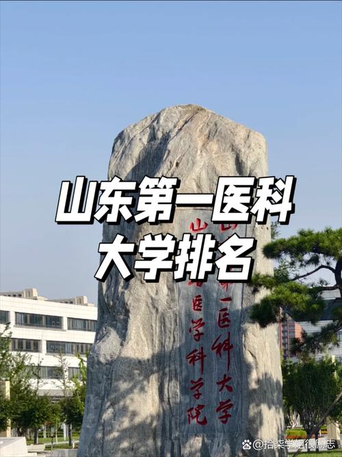 2024年山東醫(yī)學(xué)院排名-圖1