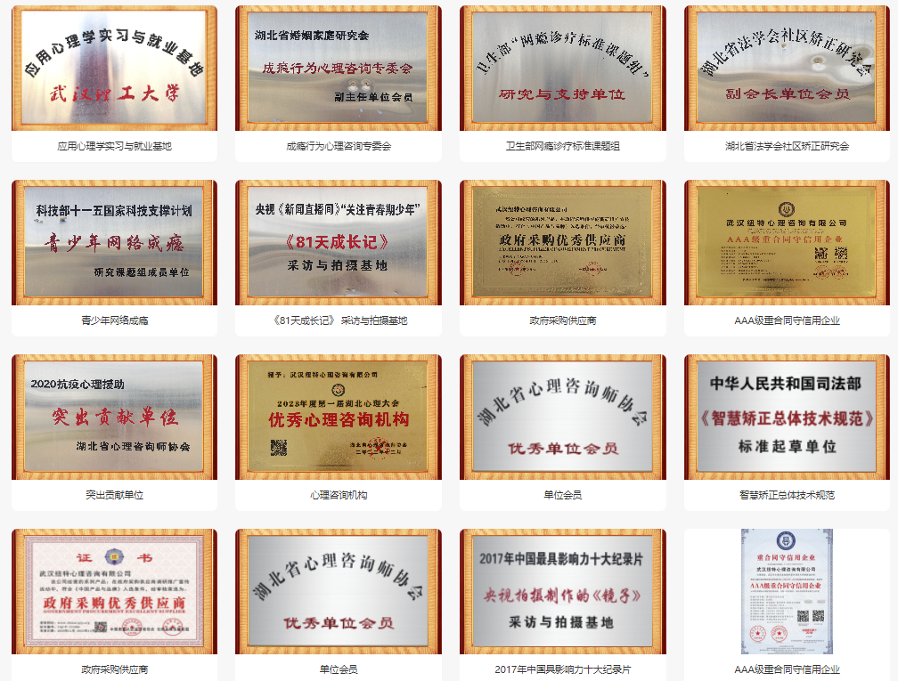 荊門的十大專門矯正青少年叛逆厭學網癮教育學校名單一覽-圖3 荊門的十大專門矯正青少年叛逆厭學網癮教育學校名單一覽-圖3