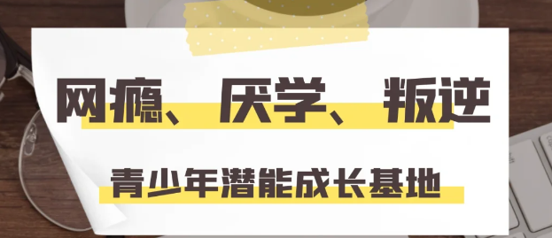 湖北武漢紐特心理疏導機構|叛逆、厭學、網癮-圖1