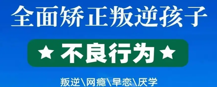 湖北武漢紐特叛逆教育機(jī)構(gòu)怎么樣-圖1
