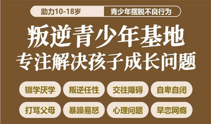 荊州十大專門矯正青少年叛逆厭學網(wǎng)癮教育學校名單一覽-圖3