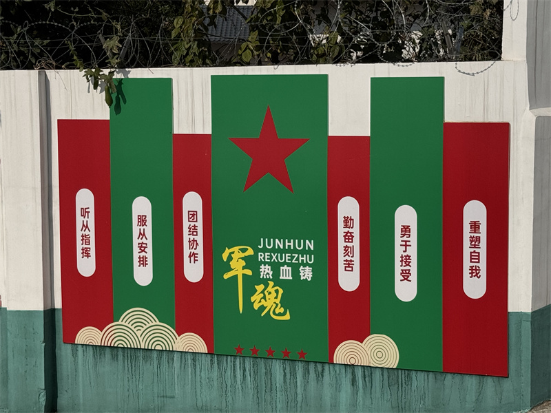 2025年南昌十大青少年叛逆混社會(huì)、網(wǎng)癮管教學(xué)校排行榜-圖1