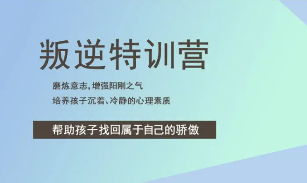 江蘇鎮(zhèn)江青少年叛逆：探索解決之道與素質教育學校推薦-圖2