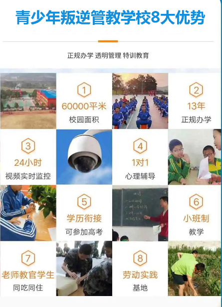 湖北武漢紐特教育心理青少年教育學(xué)校-戒網(wǎng)癮行為習(xí)慣矯正-圖2