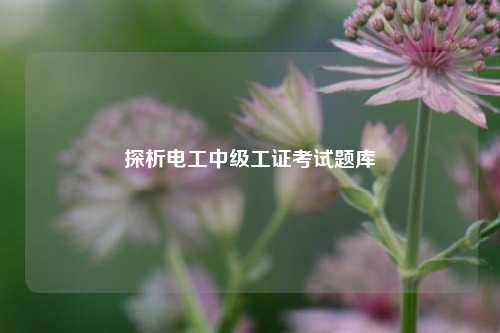 探析電工中級工證考試題庫-圖1