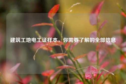 建筑工地電工證樣本，你需要了解的全部信息-圖1