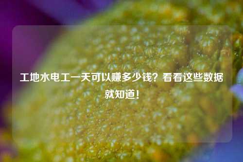 工地水電工一天可以賺多少錢？看看這些數(shù)據(jù)就知道！-圖1