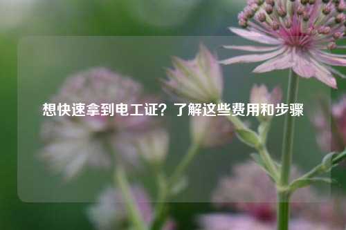 想快速拿到電工證？了解這些費用和步驟-圖1