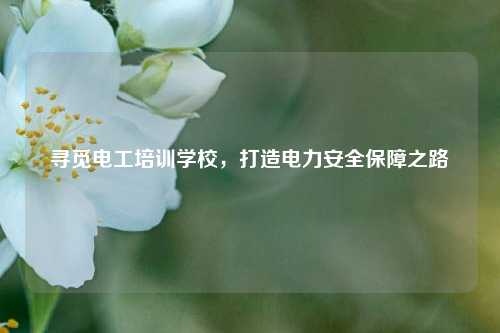 尋覓電工培訓學校，打造電力安全保障之路-圖1