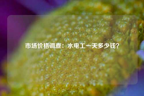 市場價格調查：水電工一天多少錢？-圖1