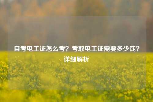 自考電工證怎么考？考取電工證需要多少錢？詳細解析-圖1